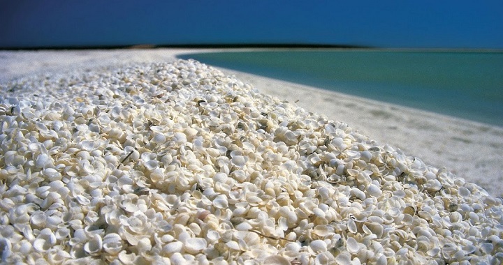 Shell Beach Australia