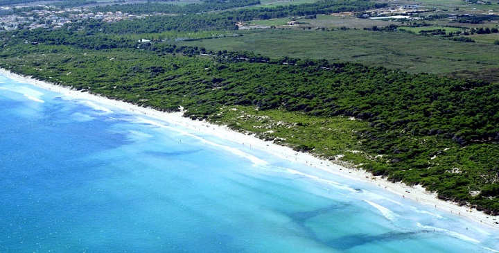Playa de Muro