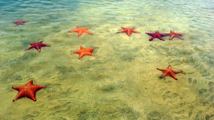 playa de las estrellas