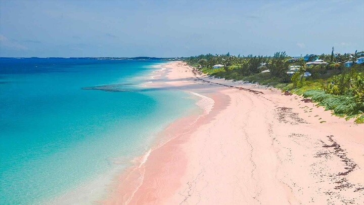 Pink-Sand-Beach-Barbuda