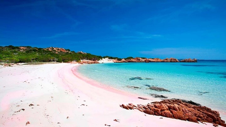 Pink-Sands-Beach